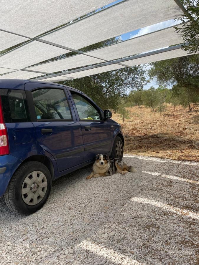 Masseria I Raffi B&B Monopoli Exteriör bild