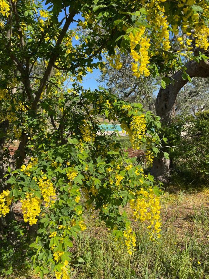 Masseria I Raffi B&B Monopoli Exteriör bild