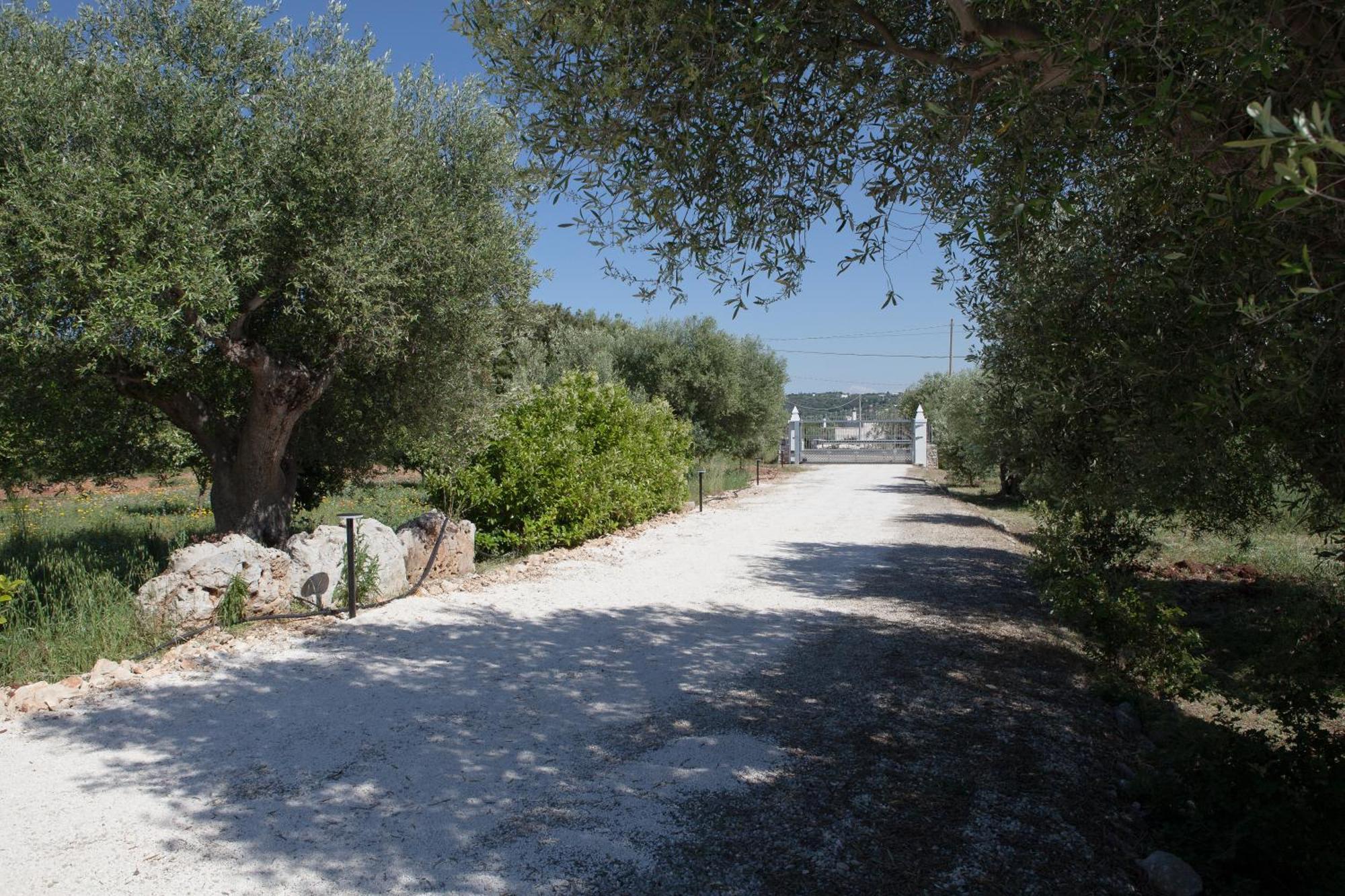 Masseria I Raffi B&B Monopoli Exteriör bild